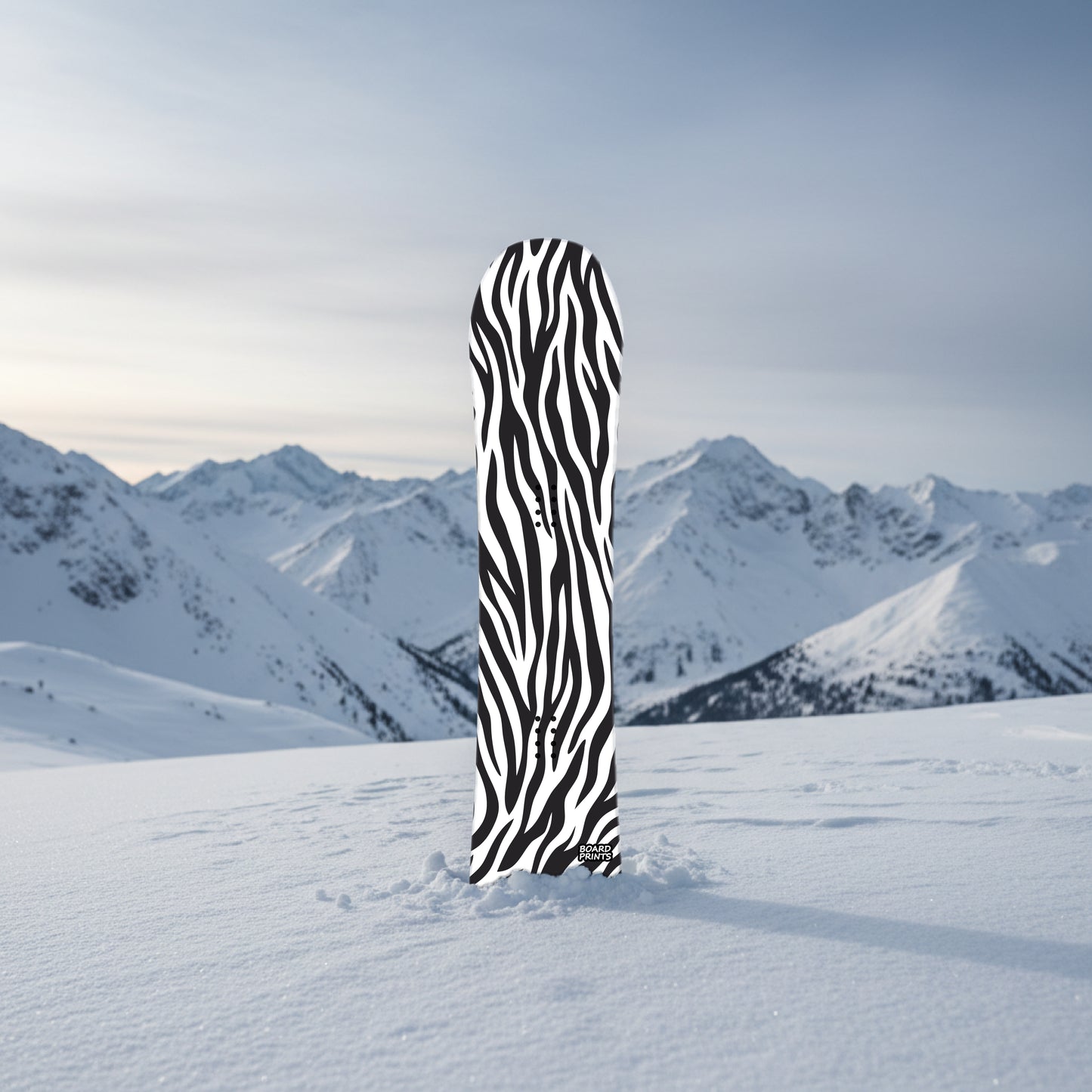 Black & White Zebra